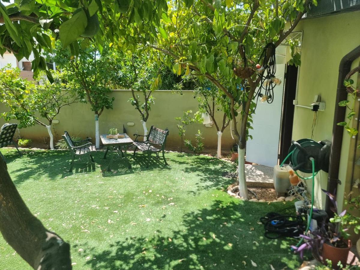 Amit 18 Minutes From The Airport - אירוח כפרי עמית 18 דקות משדה תעופה